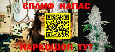 тгк Сланцы