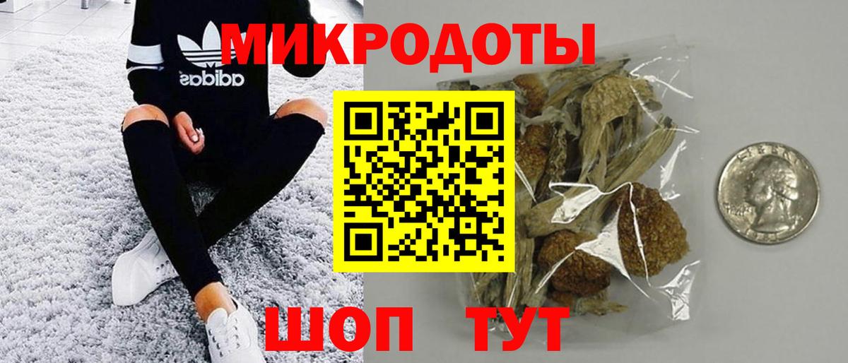 Саратов  Псилоцибиновые грибы мицелий  Вход с VPN  Галлюциногенные грибы Psilocybe 